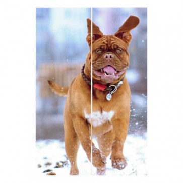 Foto op hout 20 x 30 cm
