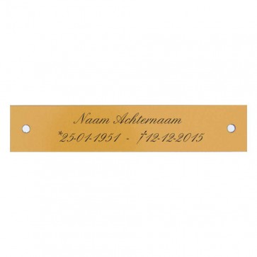Gedenkplaatje 100 x 20 mm