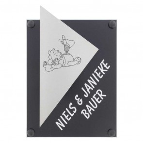 RVS + plexiglas naambord 145 x 225 mm