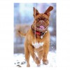 Foto op hout 20 x 30 cm