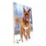 Foto op hout 20 x 30 cm