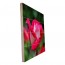Foto op hout 40 x 30 cm