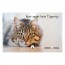 Gedenk tafel plexiglas 15 x 10 cm