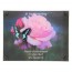 Gedenkplaat plexiglas 195 x 145 mm